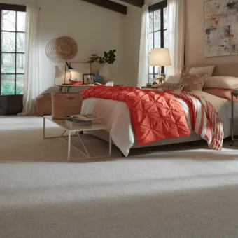 Shop-Carpet-img Shop-Carpet-img